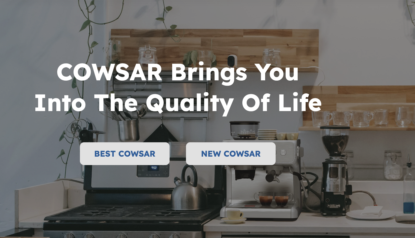 Make Everyday Cooking Easier with COWSAR Appliances